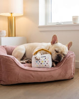 Haute Diggity Dog White Chewy Vuiton Handbag Plush Dog Toy