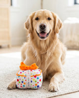 Haute Diggity Dog Happy Birthday Gift Box Plush Dog Toy