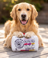Haute Diggity Dog White Paw Grrriety Pack - Activity House Plush Dog Toy