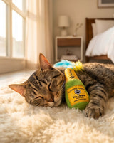 Haute Diggity Kitty Kitty Clicquot (Bottle & Caviar) Organic Catnip Cat Toy