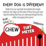 Jolly Chew Bone Dog Toy