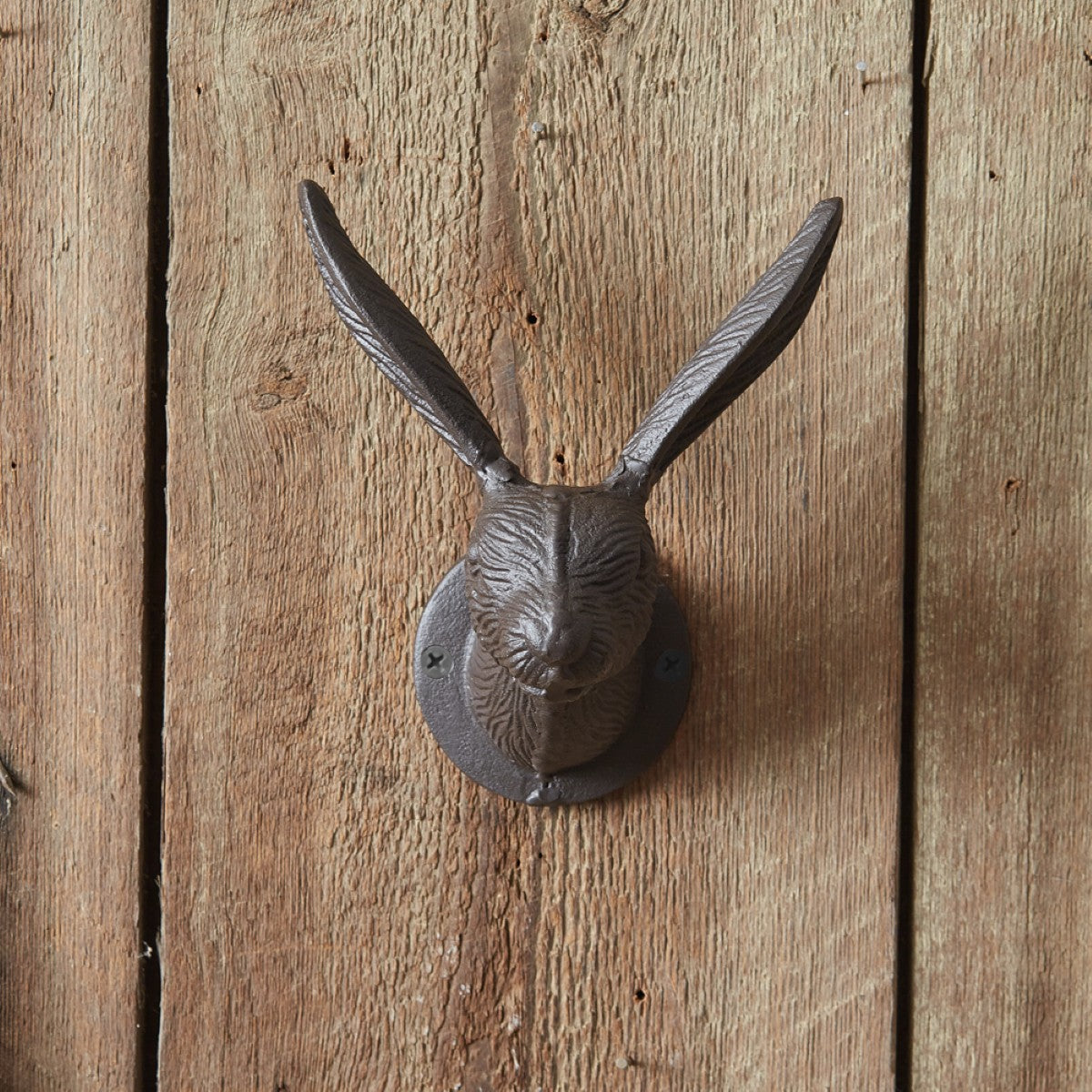 Cast Iron Jack Rabbit Coat Hook, Set of 2 By CTW Home Collection