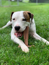 Bam-Bone Plus Dog Chew Toy
