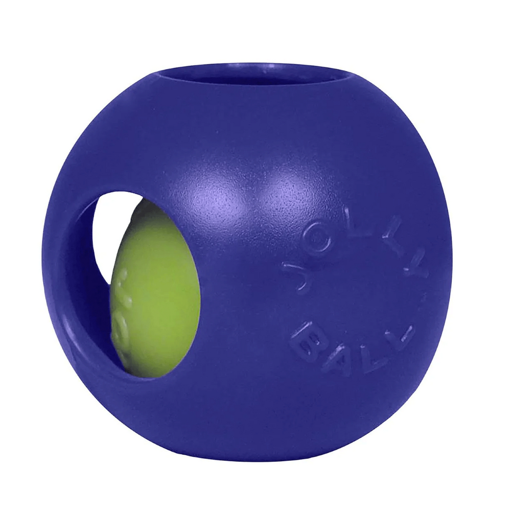 Jolly Pets Teaser Ball Dog Toy (Various Sizes & Colors Available)