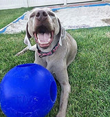 Jolly Pets Teaser Ball Dog Toy (Various Sizes & Colors Available)
