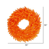 Vickerman Orange Fir Artificial Wreath