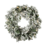 Vickerman Flocked Kiana Artificial Christmas Wreath, 24", Warm White Mini Light