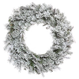 Vickerman Flocked Kiana Artificial Christmas Wreath, 24", Unlit