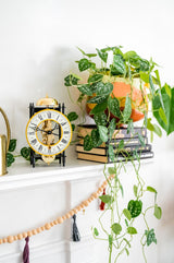 Hermle Kehl Black & Gold Skeleton Mantel Tabletop Clock, 23003000711