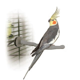 K&H Pet Products Bird Thermo-Perch - Gray 10.5" x 1" x 1"