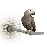K&H Pet Products Bird Thermo-Perch - Gray 13" x 1.25" x 1.25"