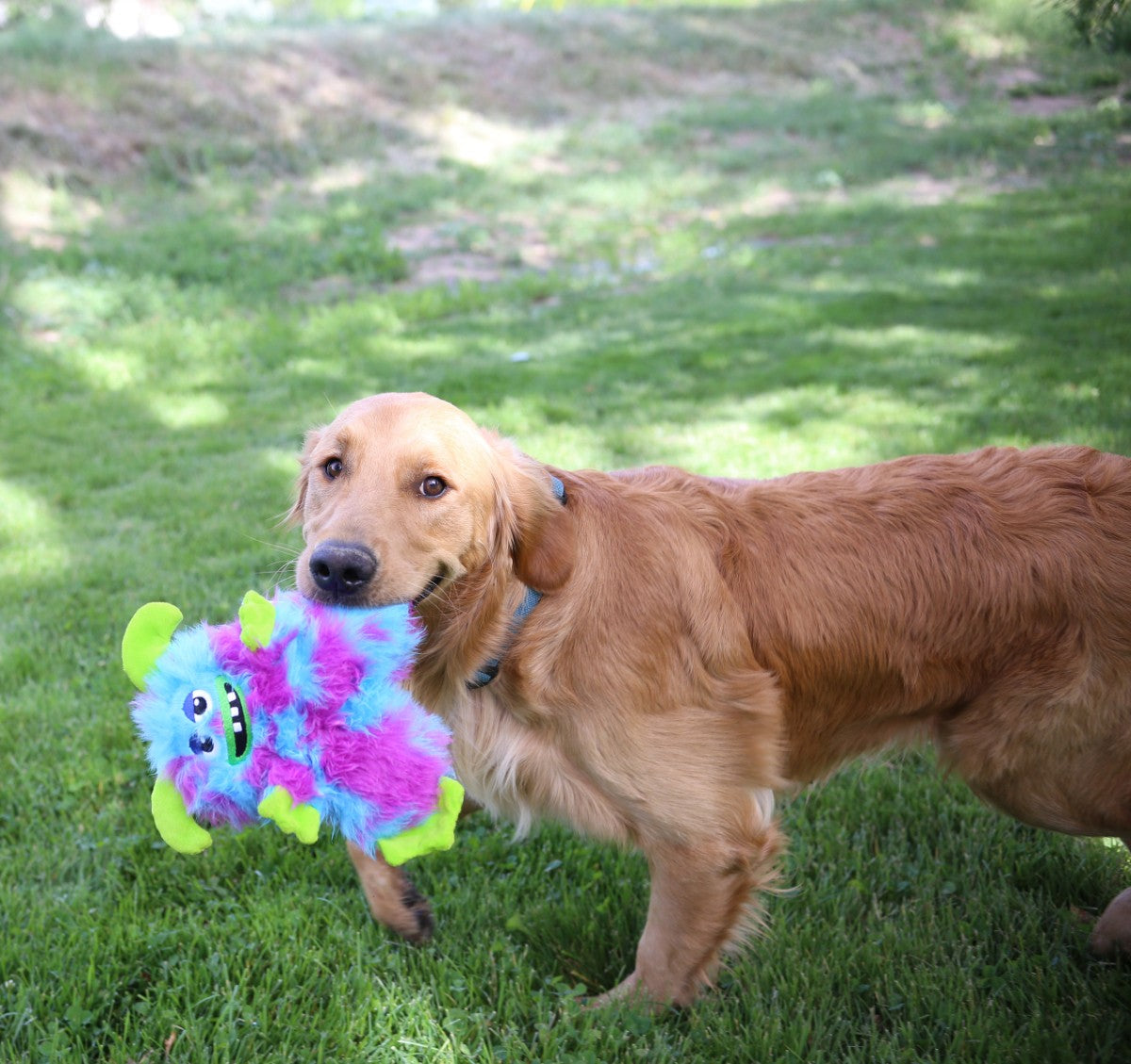 KONG Frizzles Plush Dog Toy (2 Styles Available)