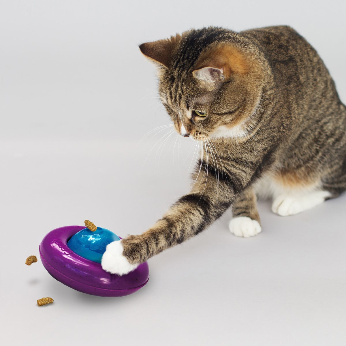 KONG Infused Cat Gyro Cat Treat Dispenser