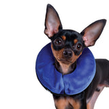 KONG Cloud First Aid Dog Collar (4 Sizes Available)