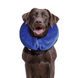 KONG Cloud First Aid Dog Collar (4 Sizes Available)