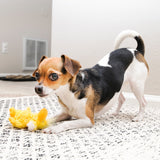 KONG Dr. Noyz Plush Dog Toys (3) Styles Available