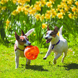 KONG Jumbler Dog Ball Toy (2 Sizes Available)