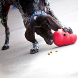 KONG Wobbler Dog Toy (2 Sizes Available)