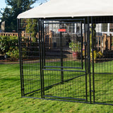 Lucky Dog STAY Series Presidential Kennel (10'x10'x6')