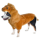 Wannabe Dog Costume Coat - Lion