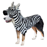 Wannabe Dog Costume Coat - Zebra