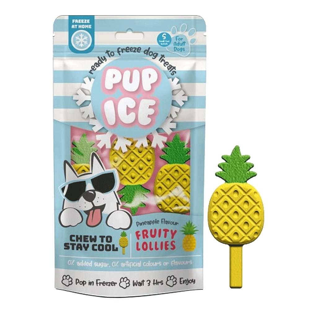 SPOT by Ethical Products Pup Ice Fruity Lollies, Pineapple