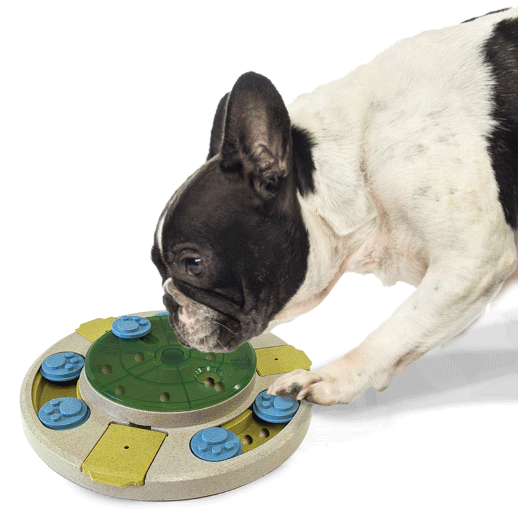 SPOT by Ethical Products Interactive Seek-A-Treat Spinner Puzzle