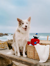 ZIPPYPAWS Zippy Burrow Americana Top Hat