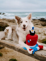 ZIPPYPAWS Zippy Burrow Americana Top Hat