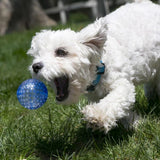 Kong Dog Squeezz Geodz Ball Assorted Colors Large 2-Pack