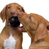 KONG Extreme Ball Hard Rubber Dog Toy (2 Sizes Available)