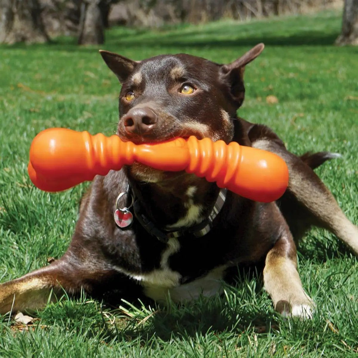 Kong SqueakStix Wigglerz Dog Toy (2 Sizes Available)