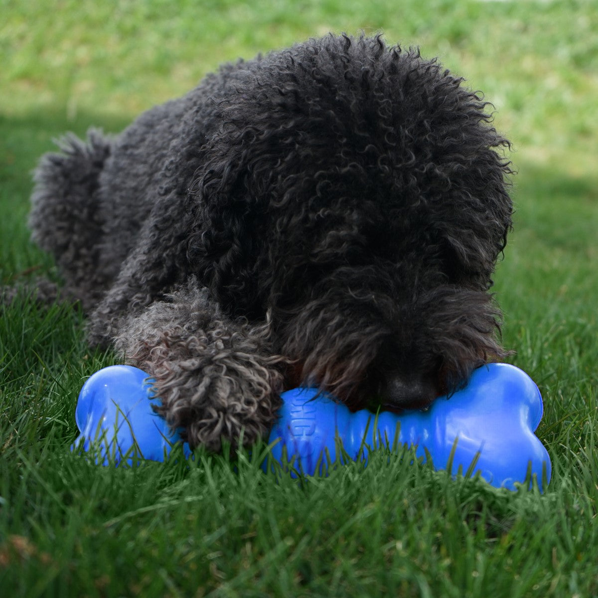 Kong SqueakStix Wigglerz Dog Toy (2 Sizes Available)