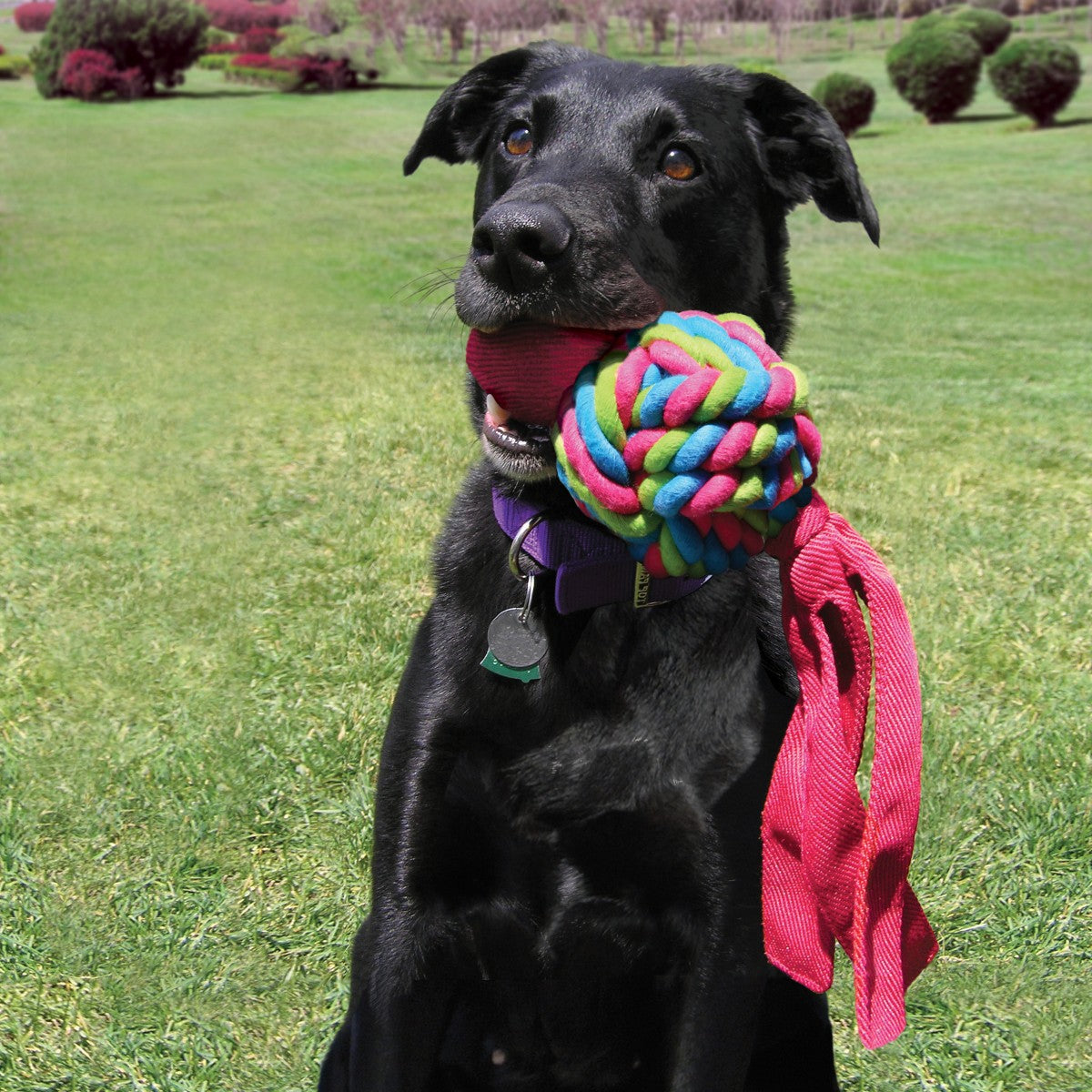 Kong Wubba Weave Dog Toy (Multiple Sizes Available)