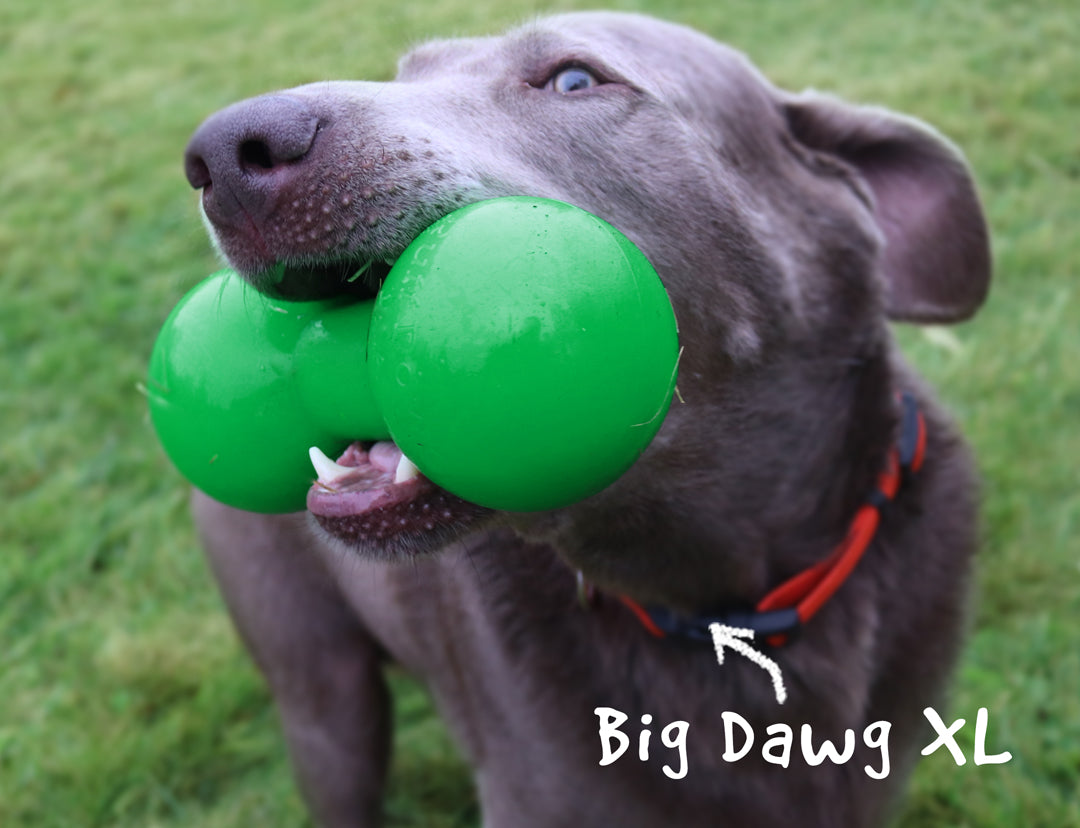 Ruff Dawg Indestructible Big Dawg Barbell Dog Toy, Assorted
