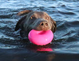 Ruff Dawg Indestructible Dawg Nut Dog Toy, Assorted (2 Sizes Available)