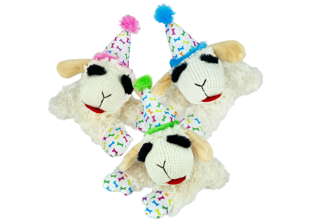 Multipet Lamb Chop With Birthday Hat Dog Toy 10.5" Plush Dog Toy (Assorted Styles)