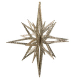 Vickerman 3D Glitter Star Ornament, 16", Champagne