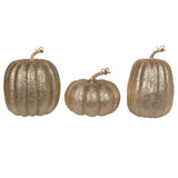 Vickerman 8" Glitter Pumpkins Assorted Set, Champagne