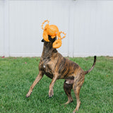 Tug-a-Mal Squeaky Tug Dog Toy