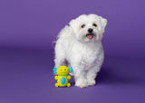 Multipet Minipet Latex Axolotl Dog Toy - 4"