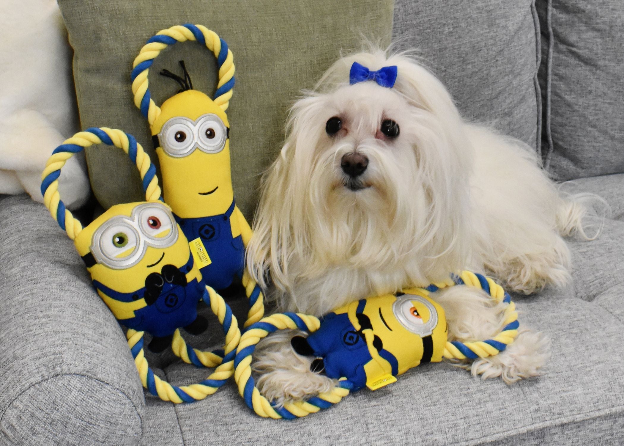 Multipet Minions® Bob Double Tug With Rope Dog Toy - 10