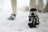 P.A.W. Alcott Adventure Dog Boots (Multiple Sizes Available)