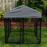 Lucky Dog STAY Series Studio Jr. Kennel (4'x4'x4'4")