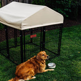 Lucky Dog STAY Series Studio Jr. Kennel (4'x4'x4'4")