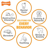 Nylabone Power Chew Variety Pack, Chicken, Bacon & Peanut Butter Flavored Dog Chew Toys, Small, 3 Count