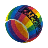 PetSport 4" Rainbow Squeak Tennis Ball Dog Toy
