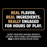 Pet Qwerks Wishbone BarkBone Chew Dog Toy (Various Flavors & Sizes)