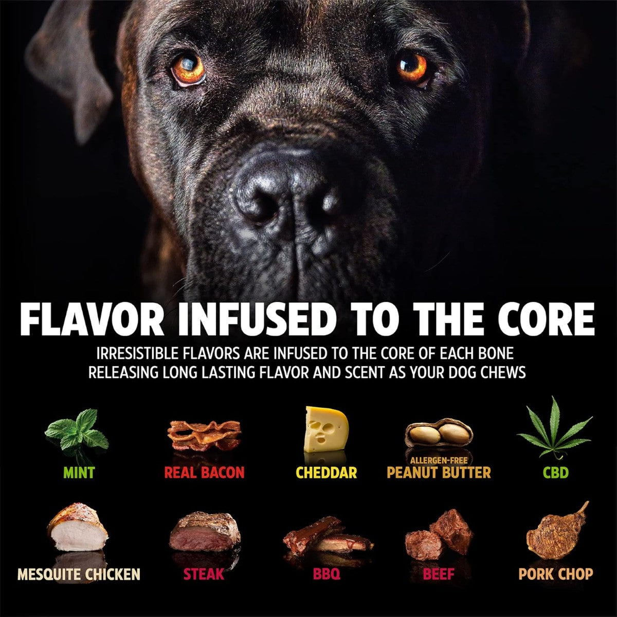 Pet Qwerks Wishbone BarkBone Chew Dog Toy (Various Flavors & Sizes)