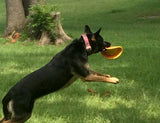 Ruff Dawg K9 Flyer Jr Dog Toy - Assorted Colors